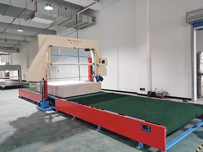 WDXF-1650/2150 海綿網(wǎng)帶吸風平切機 WHCPQ